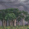 An original oil painting by Ben Sherar depicting a lightning storm over a stand of Boab trees in Western Australia's rugged north east