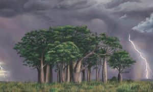 An original oil painting by Ben Sherar depicting a lightning storm over a stand of Boab trees in Western Australia's rugged north east